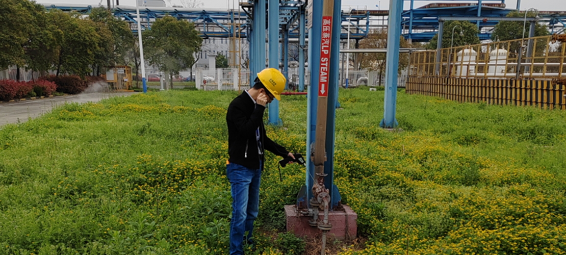 Steam System Service