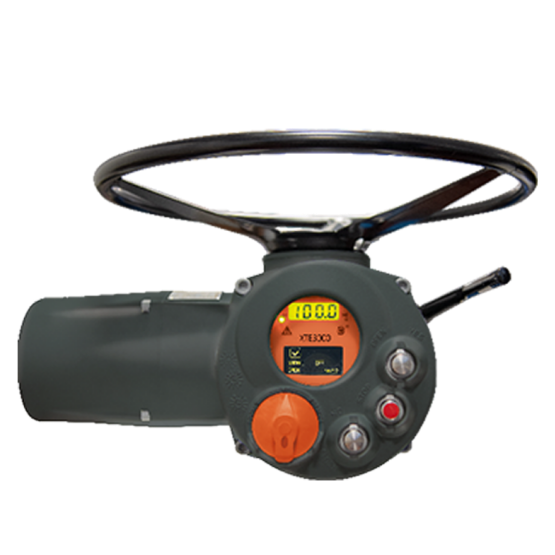 Bettis XTE3000 Series