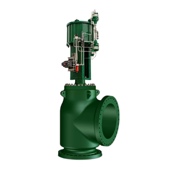 FISHER Severe Service Control Valves